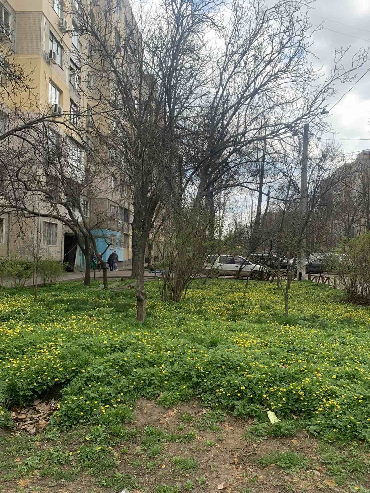 Продам чешку 5 этаж, Черемушки