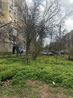 Продам чешку 5 этаж, Черемушки