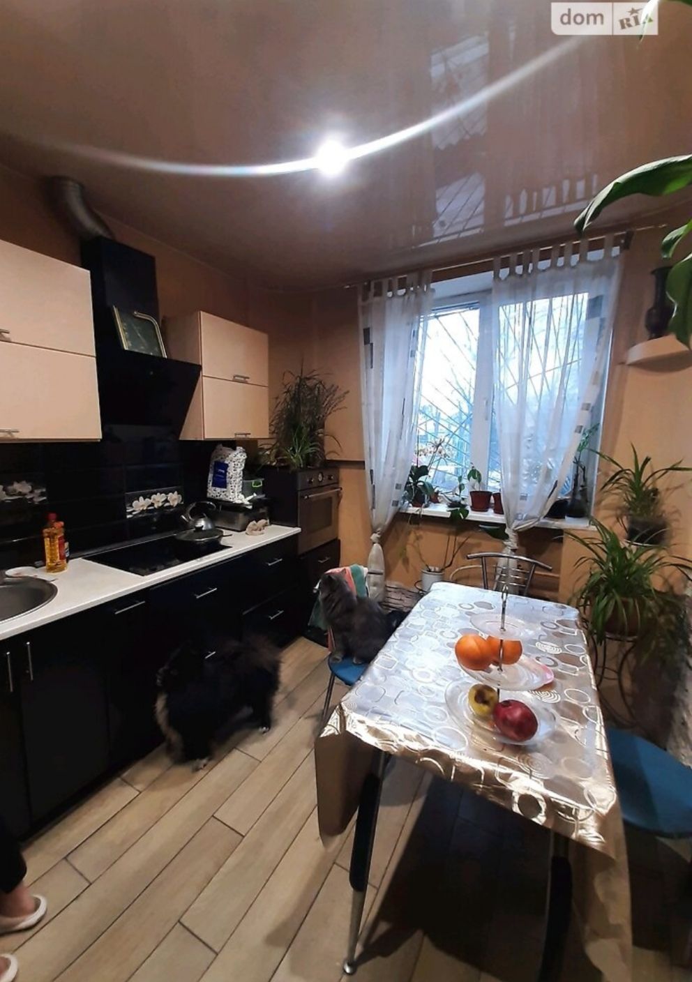 Apartment on Ovidopolskaya Road, st.