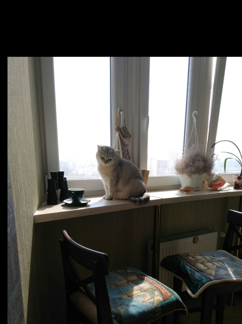 Apartment on Dobrovoltsiv (Govorova) St.