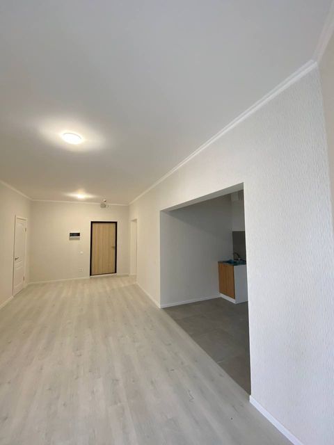 Apartment on Ivana Franka St.