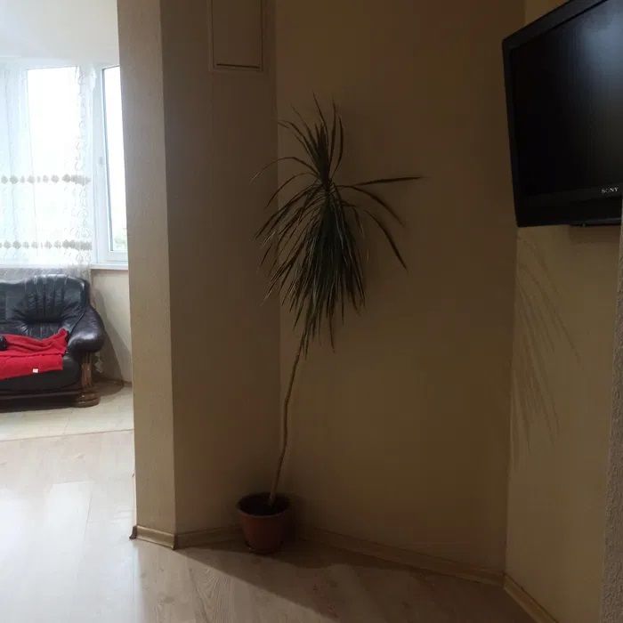 Apartment on Komitetska Street.