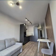 Apartment on Genuezka Street