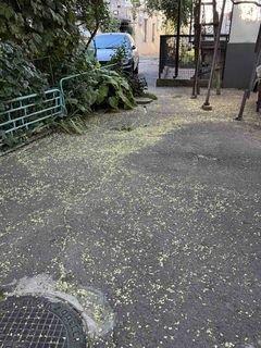 Квартира на Чорноморського Козацтва вул.
