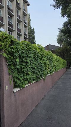Квартира на Андрієвського вул.