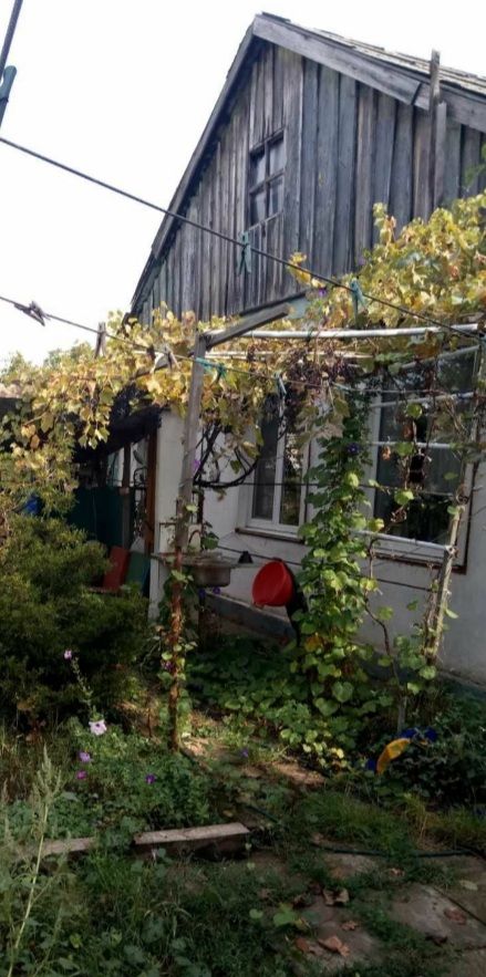 House on Dzherelny Lane