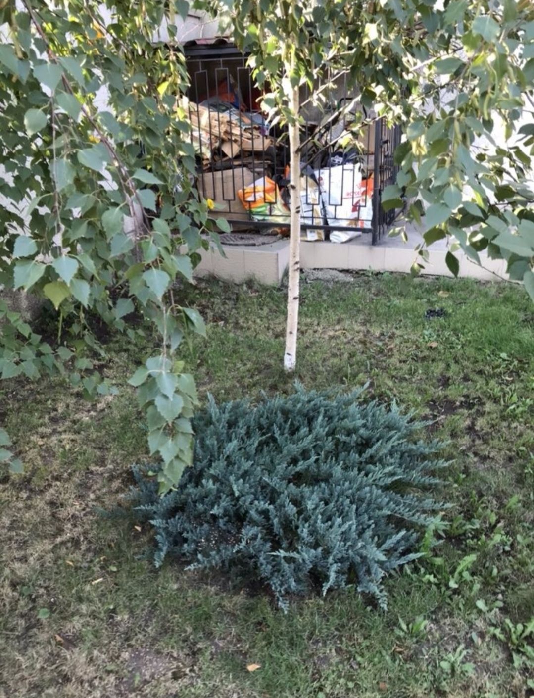 Будинок на Кордонна вул.