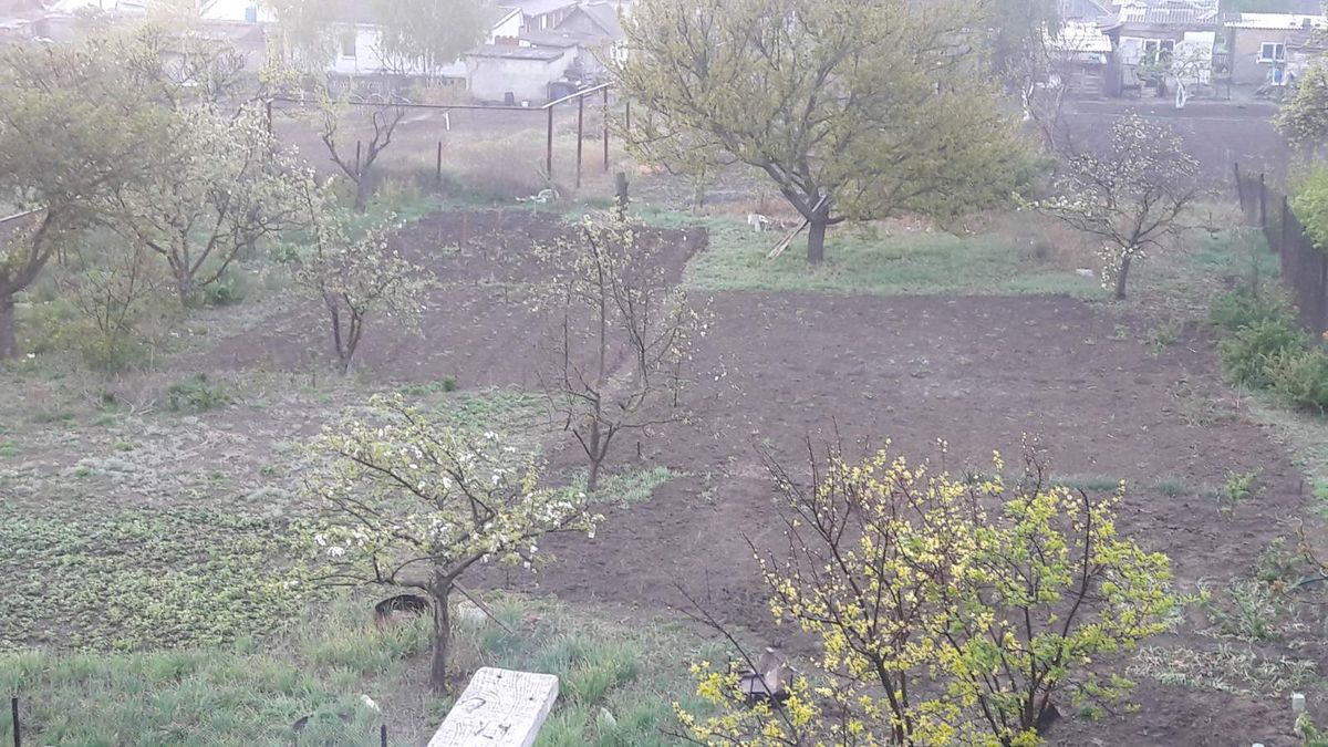 Будинок на Шевченко вул.